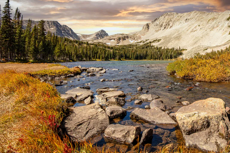 A rocky stream flows through golden alpine grass with pale mountains in the distance.