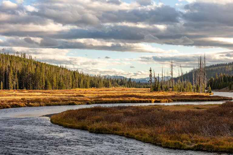 A river curves through golden grass and sparse conifers beneath a cloudy sky.