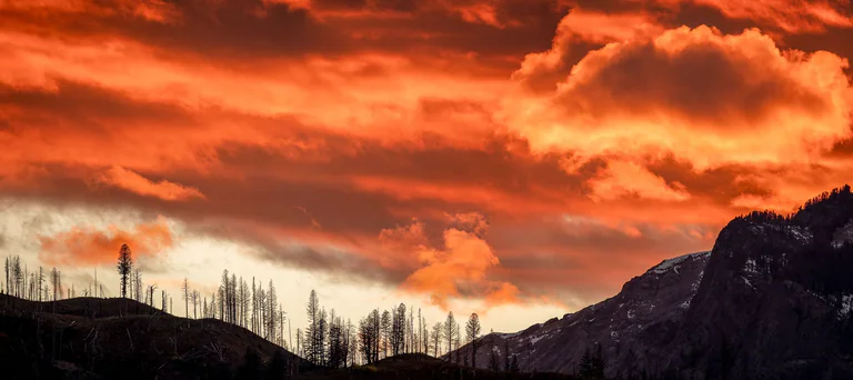 Bright orange sunset clouds above a dark ridge and a line of bare tree trunks.
